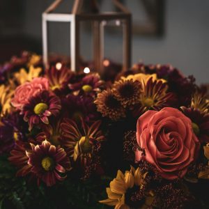 Seasonal Blooms ‘Autumn Glow’ – Warm & Elegant Garden Collection